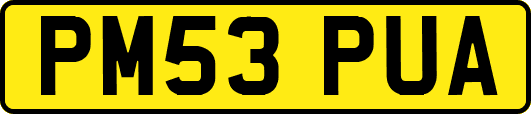 PM53PUA