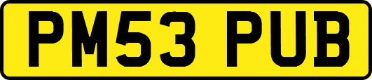 PM53PUB