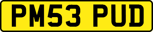 PM53PUD