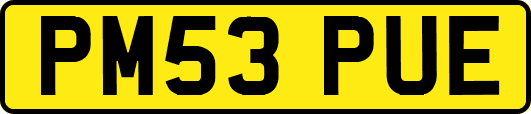 PM53PUE