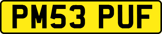 PM53PUF