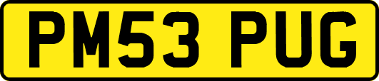 PM53PUG