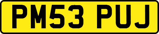 PM53PUJ
