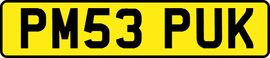PM53PUK