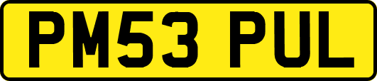 PM53PUL