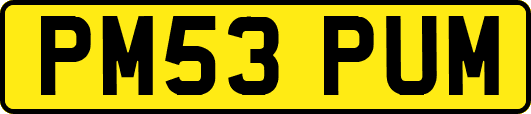 PM53PUM