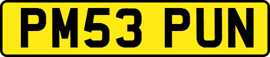 PM53PUN