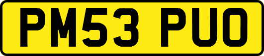 PM53PUO