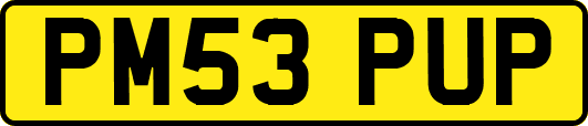 PM53PUP