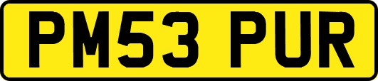 PM53PUR