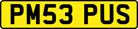 PM53PUS