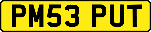 PM53PUT