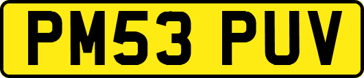 PM53PUV