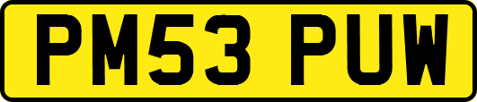 PM53PUW