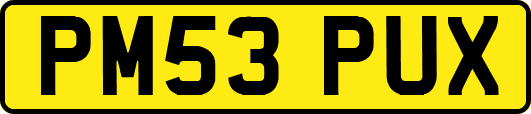 PM53PUX