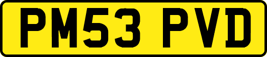 PM53PVD