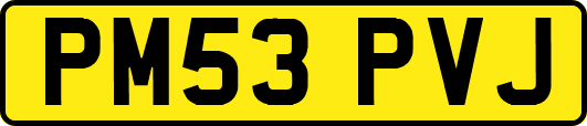 PM53PVJ