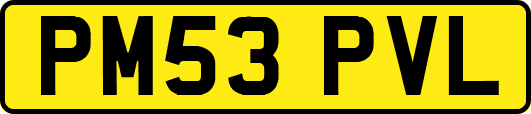 PM53PVL