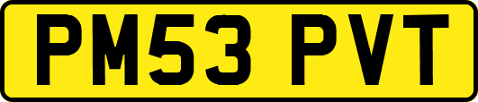 PM53PVT