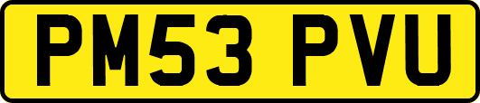 PM53PVU