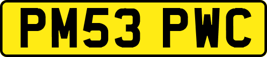 PM53PWC