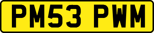 PM53PWM