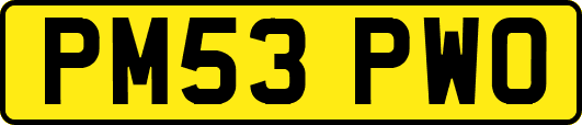 PM53PWO