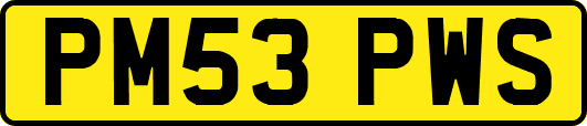 PM53PWS
