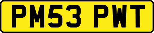 PM53PWT
