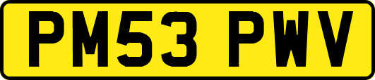 PM53PWV