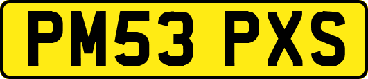 PM53PXS