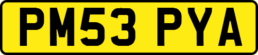 PM53PYA