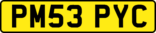 PM53PYC