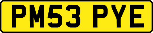 PM53PYE