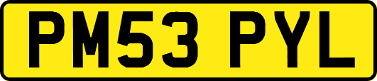 PM53PYL