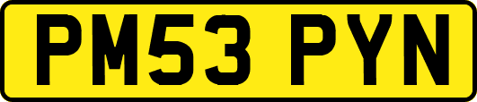 PM53PYN