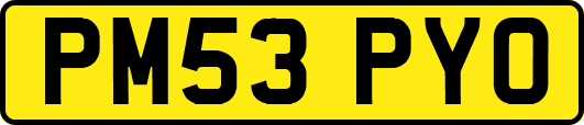 PM53PYO