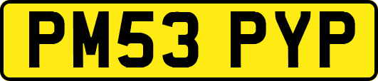 PM53PYP