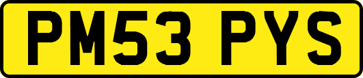 PM53PYS