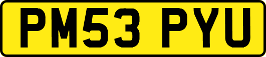 PM53PYU