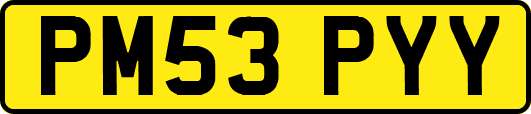 PM53PYY