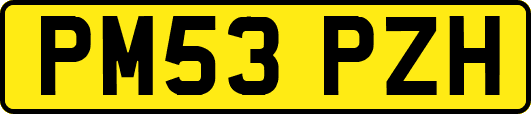 PM53PZH