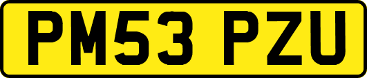 PM53PZU