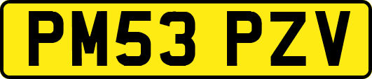 PM53PZV