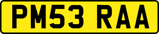 PM53RAA