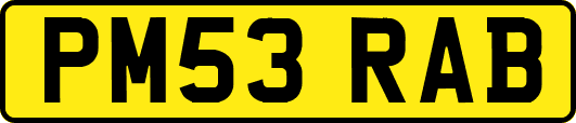 PM53RAB