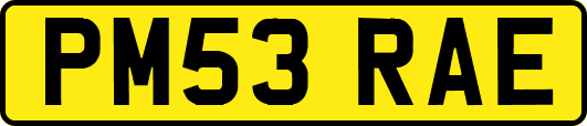 PM53RAE