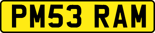 PM53RAM