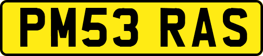 PM53RAS