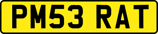 PM53RAT